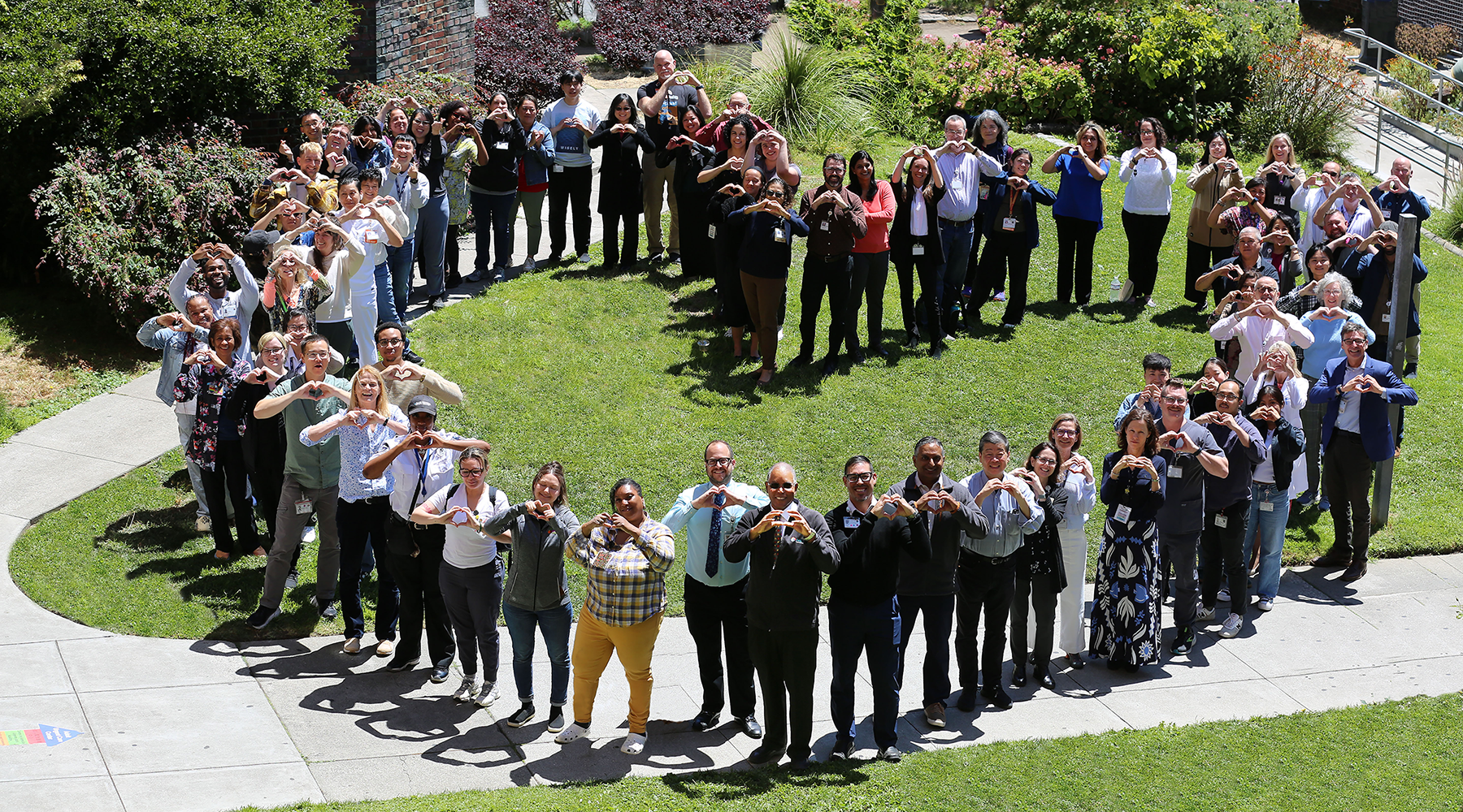 ZSFG DOM Heart Hands