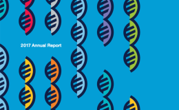 annual report