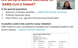 Slide from the talks referenced in the article