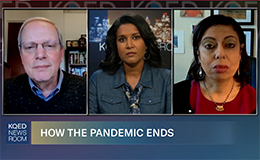 bob wachter and monica gandhi on KQED News Room