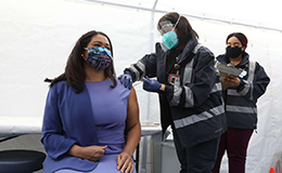 london breed receiving a shot of vaccine