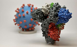 3D print of a spike protein of SARS-CoV-2