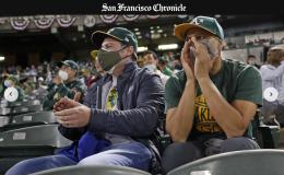 fans sit in a baseball arena
