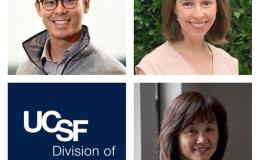 Lam, Haddock, and Yukawa