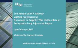 The Hidden Role of Pericytes in Lung Injury and Repair