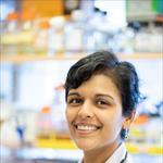 Image of Renuka Nayak, MD, PhD