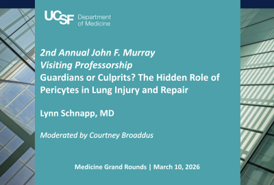 The Hidden Role of Pericytes in Lung Injury and Repair